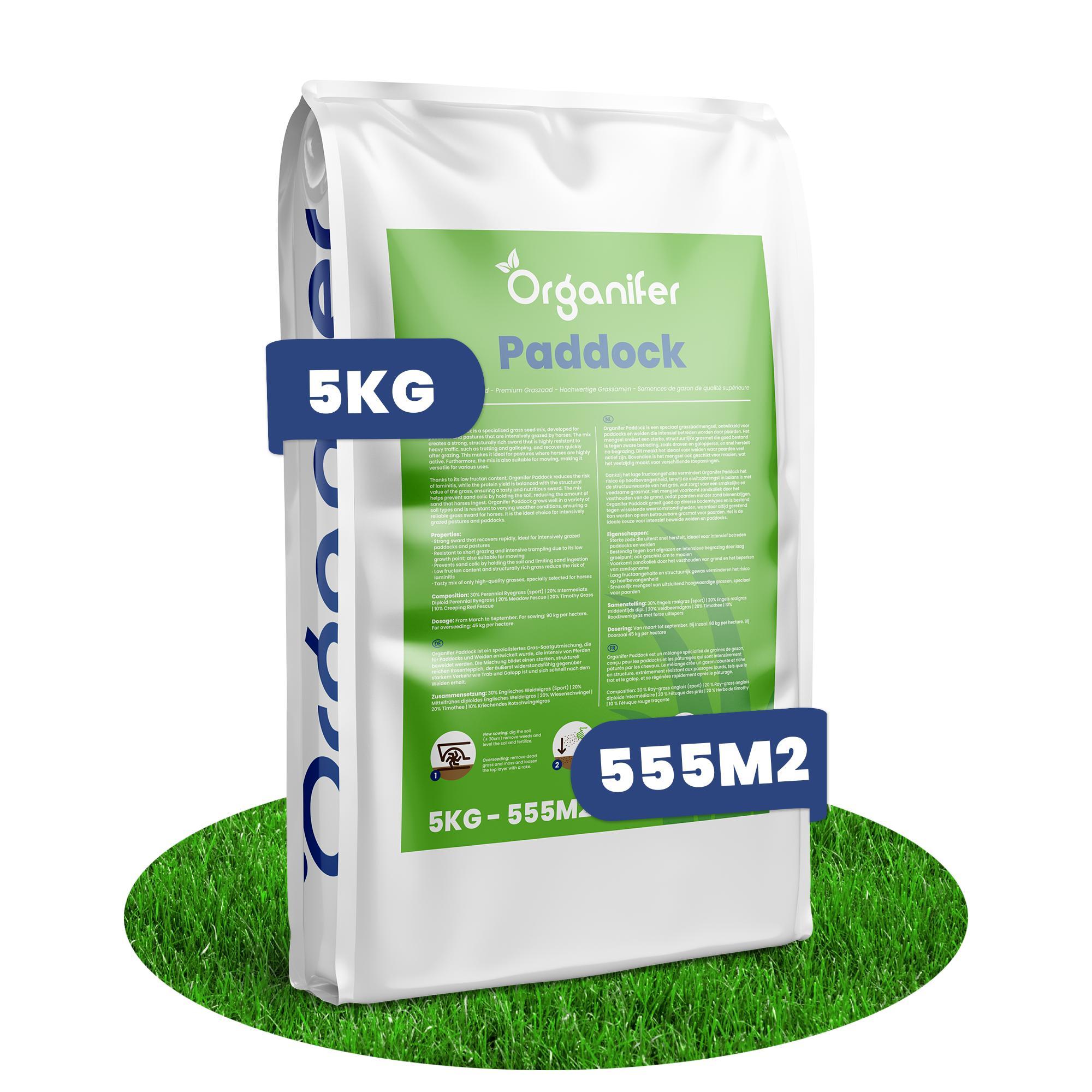 Weidegras Paddock Pferde - 5 kg (555 M²) – Paddock Saatgut Für Pferdeweide & Koppeln, Strapazierfähiges Weidelgras, Dichter Rasen – Organifer 267909