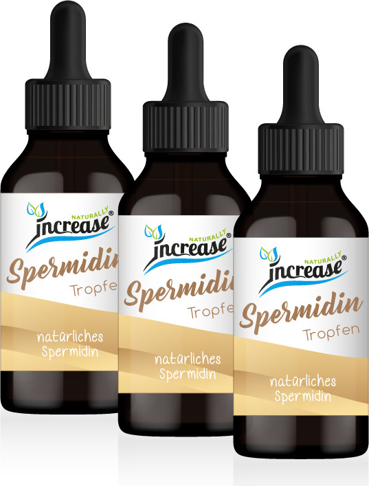Increase Nimm 3, zahl 2 Aktion Liposomale Spermidin Tropfen hochdosiert - 6mg Spermidin pro Tag (18.000mg Spermidin in 3 Flaschen) - Keto MCT Öl - Neutral