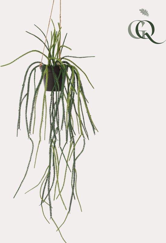 OEM Kunstcactus - Rhypsalis - Koraalkaktus - 85 cm 2026
