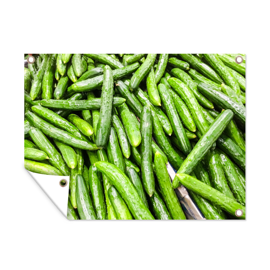 MuchoWow® Vonkajší plagát - Záhradná dekorácia ochrana súkromia - Záhradné plagáty pre záhradu - Uložené uhorky - 120x160x0.2cm