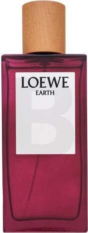 Loewe Earth parfémovaná voda unisex 100 ml