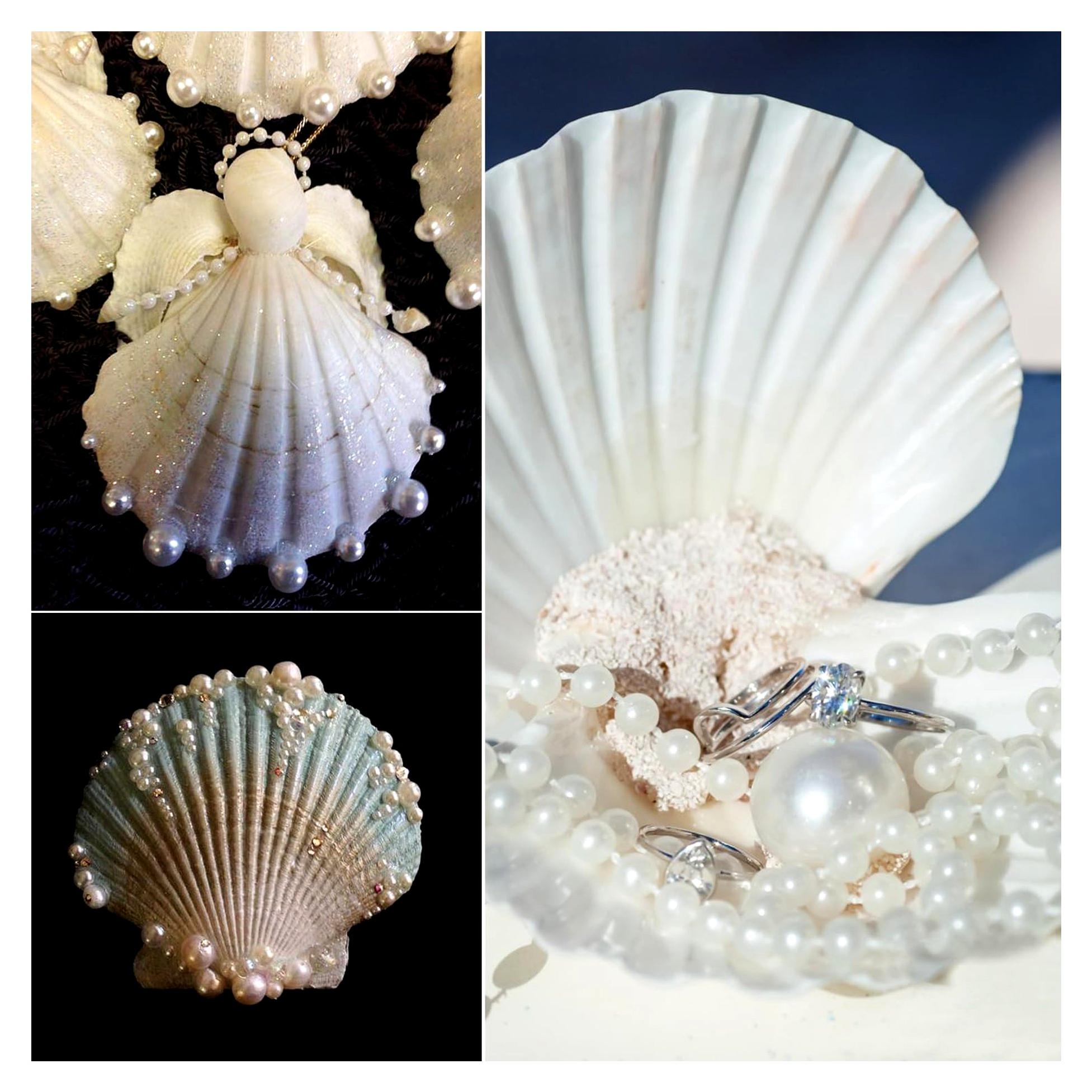 Markenlos 20 Stück natürliche Muscheln, 6CM-8CM weiße Jakobsmuscheln für Handwerk, Hochzeit, Strand-Themenparty, Fischtank und Vase Füller