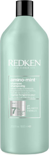 Redken Shampoo Redken Haircare Amino Mint Shampoo