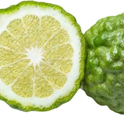 YODEYMA Linet Damenparfüm 15ml Luxusduft