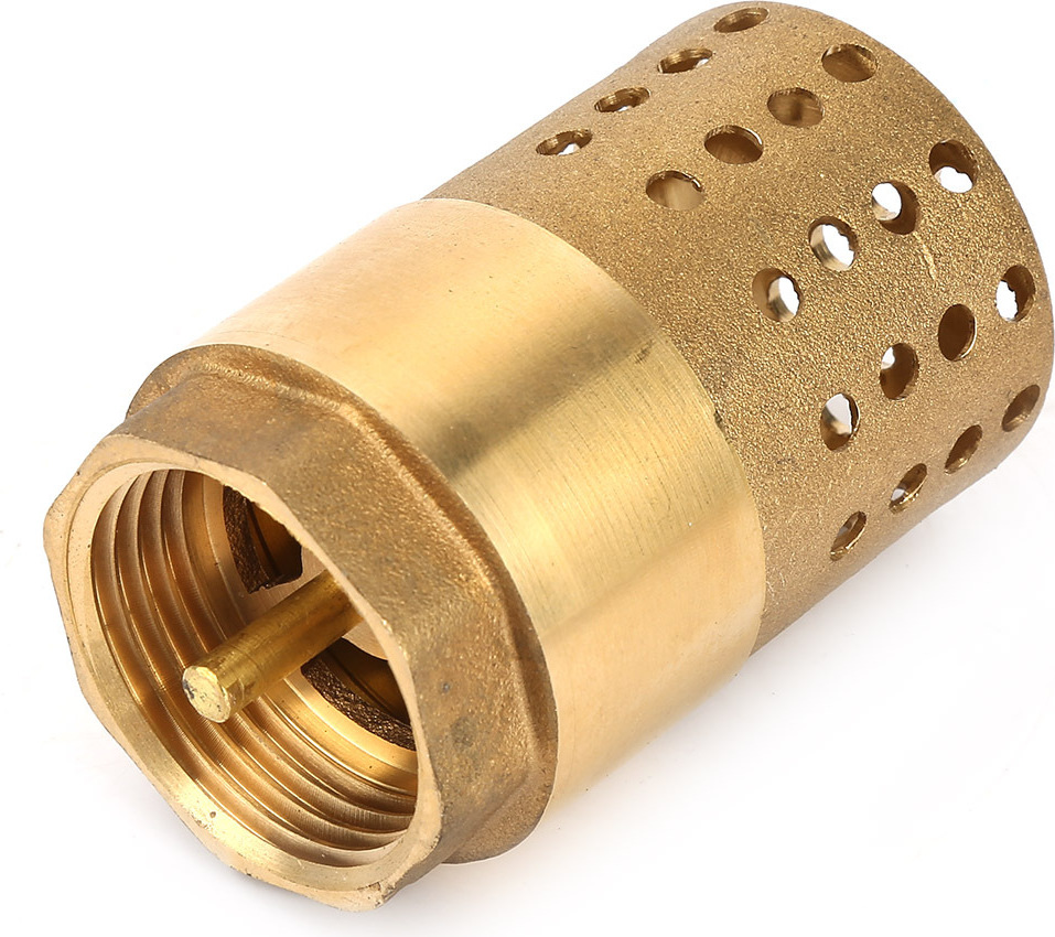 Cocosity Rückschlagventil,Messing Rückschlagventil,Weibliches Rückschlagventil,Rückschlagventil mit Filter,Einweg-Rückschlagventil,DN25 Rückschlagventil