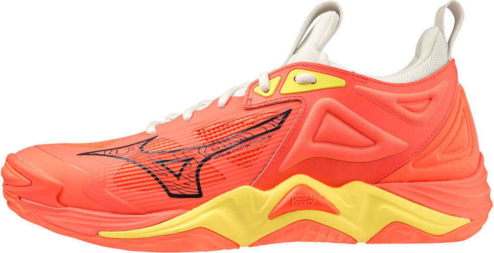 Hallenschuhe Mizuno Wave Momentum 3 V1GA231202