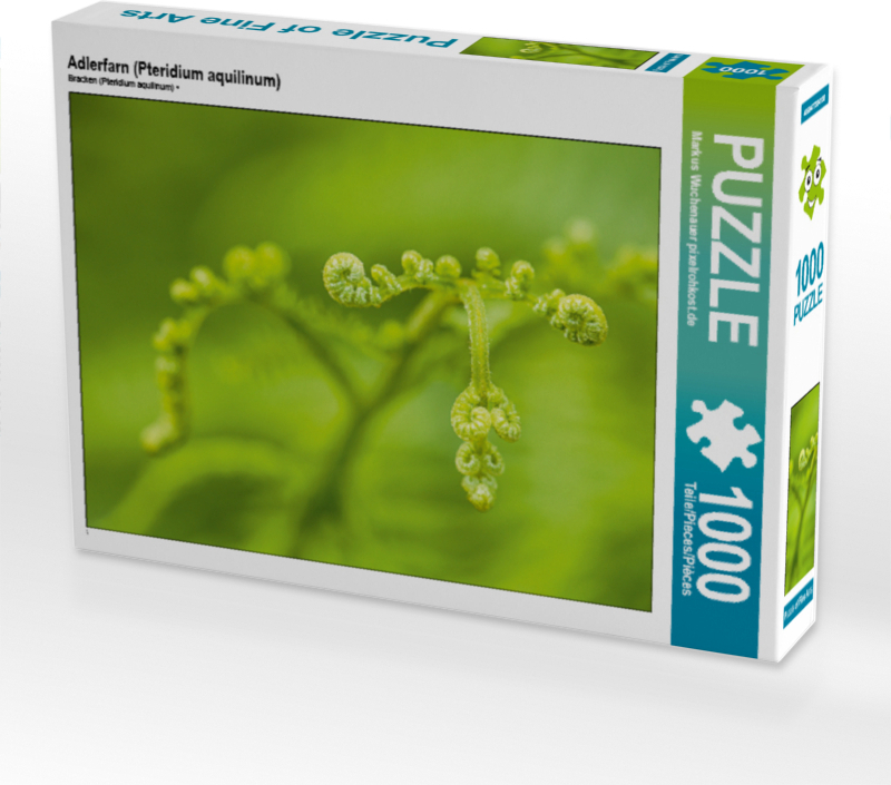 CALVENDO Puzzle Adlerfarn (Pteridium aquilinum) | 1000 Teile Lege-Größe 64x48cm Foto-Puzzle für glückliche Stunden