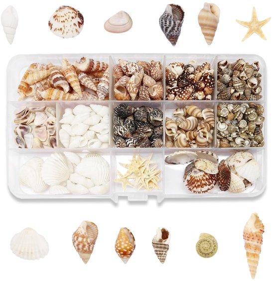 OEM Kleine Meeresmuscheln Set 425 Stück Miniatur 2026