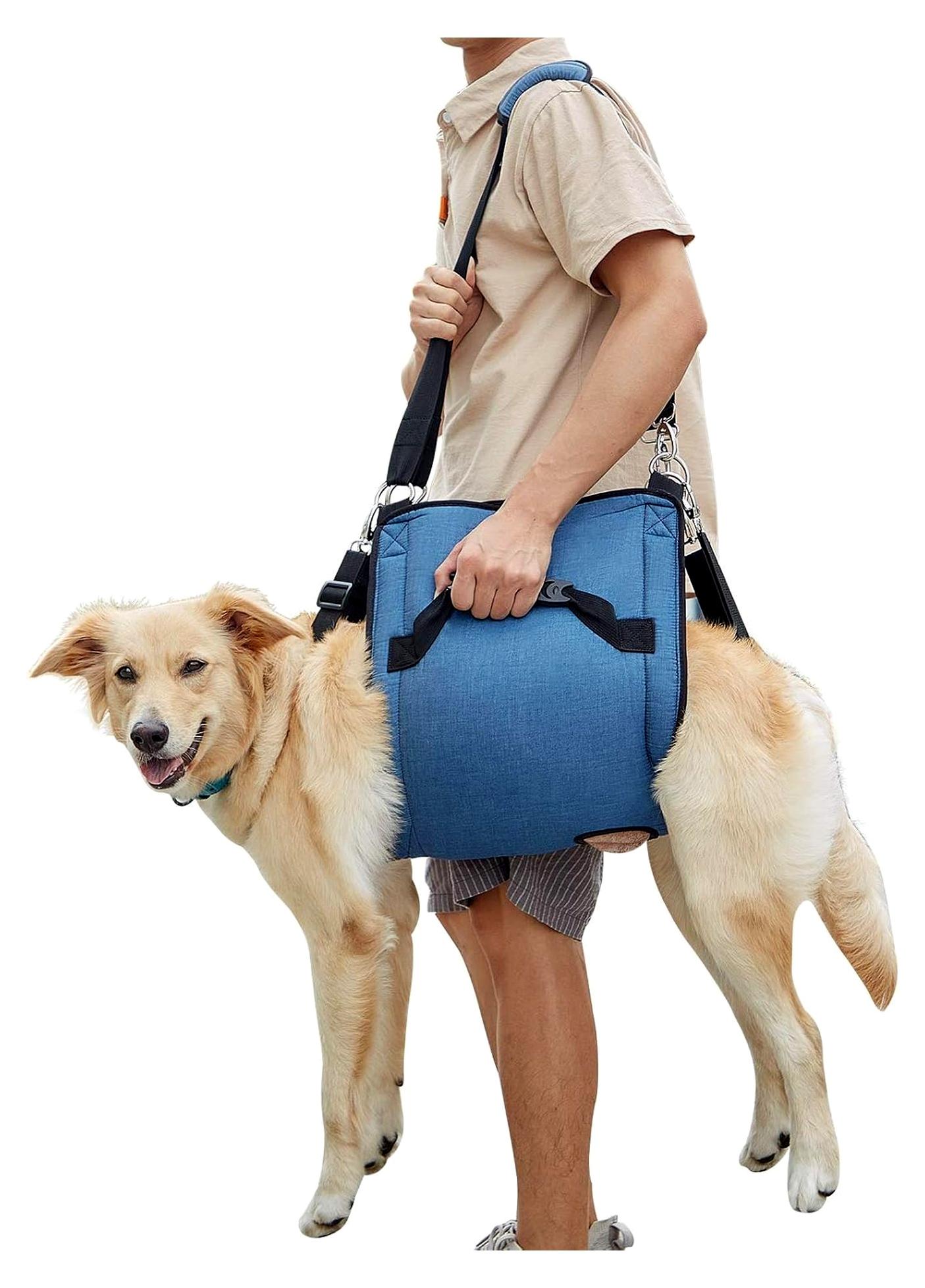 Markenlos Hundetragegurt für ältere Hunde und Hunde mit Gelenkverletzungen, Unterstützung beim Treppensteigen (XL, Blau)