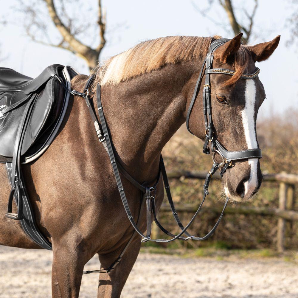 QHP Vorderzeug Basic Pro, Farbe:schwarz, Größe:Warmblut QHP-2218 ZW 5