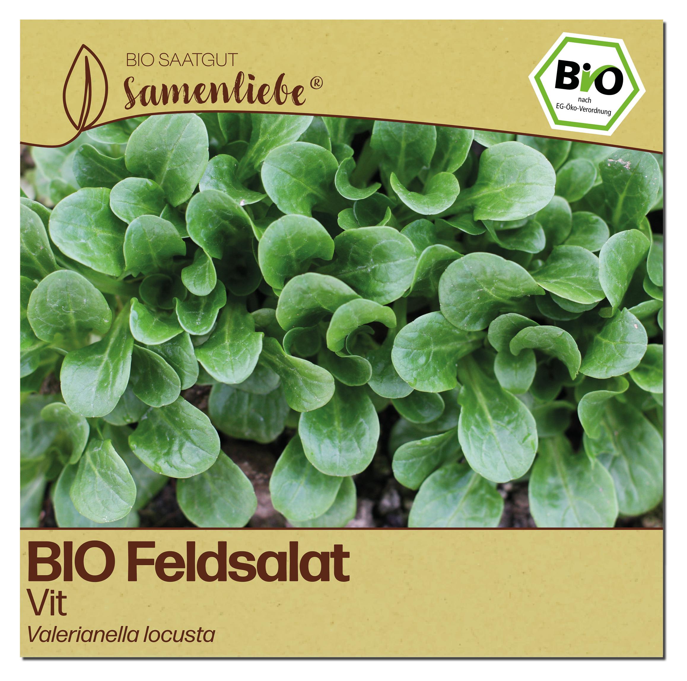Samenliebe Feldsalat Samen | Vit - winterhart & nussig &