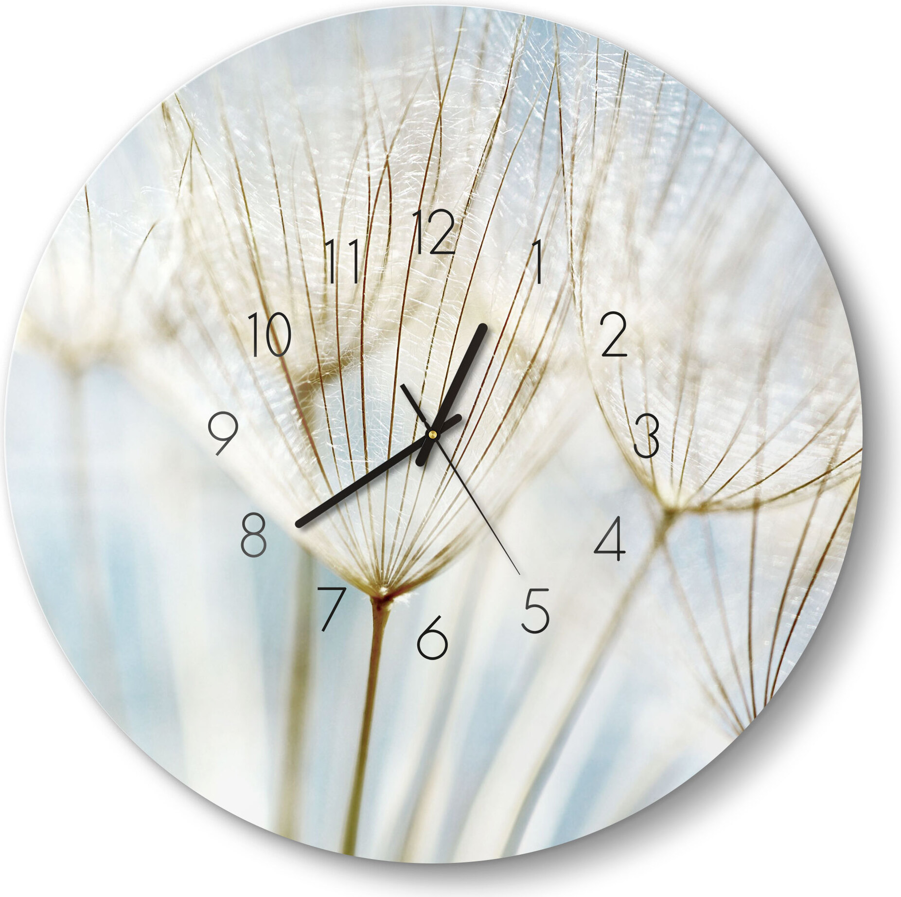 DEQORI Glasuhr Ø50 cm Zahlen 'Löwenzahnsamen nah' Wanduhr Glas Uhr Design leise WC-D50-N-2447