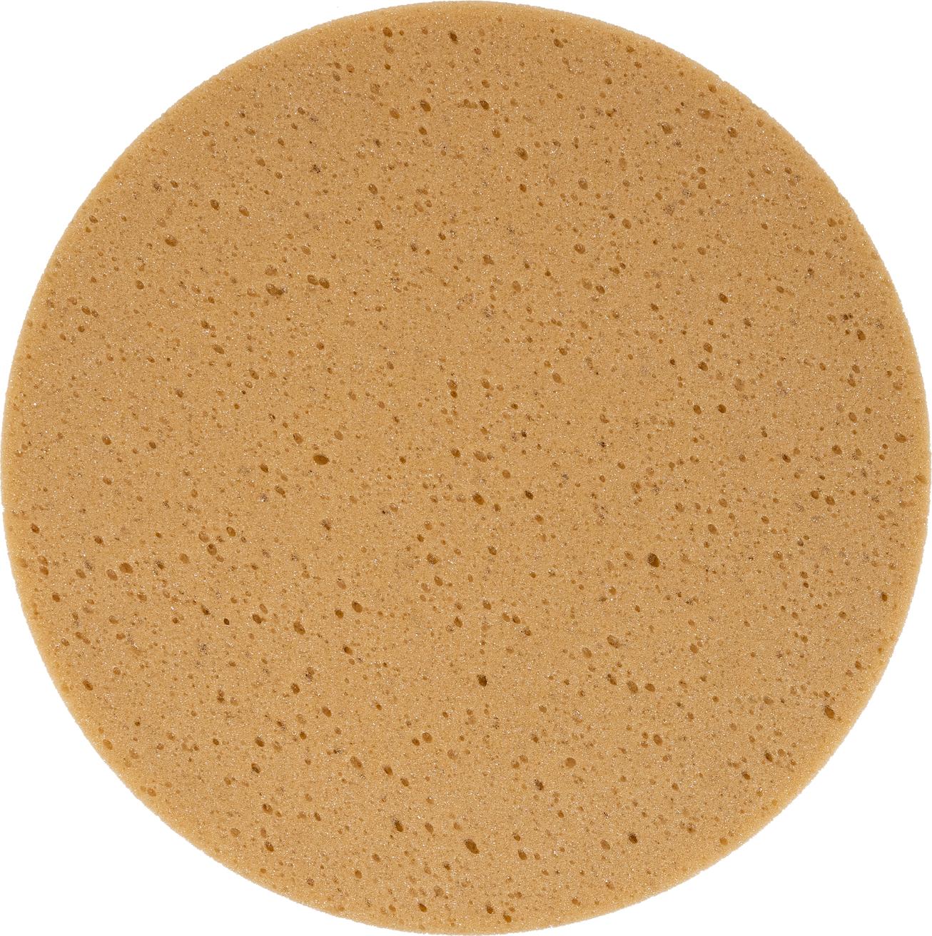 Elektrowerkzeuge GmbH Eibenstock EIBENSTOCK Schwammscheibe Ø 320 mm für EPG 300 A 3772D000