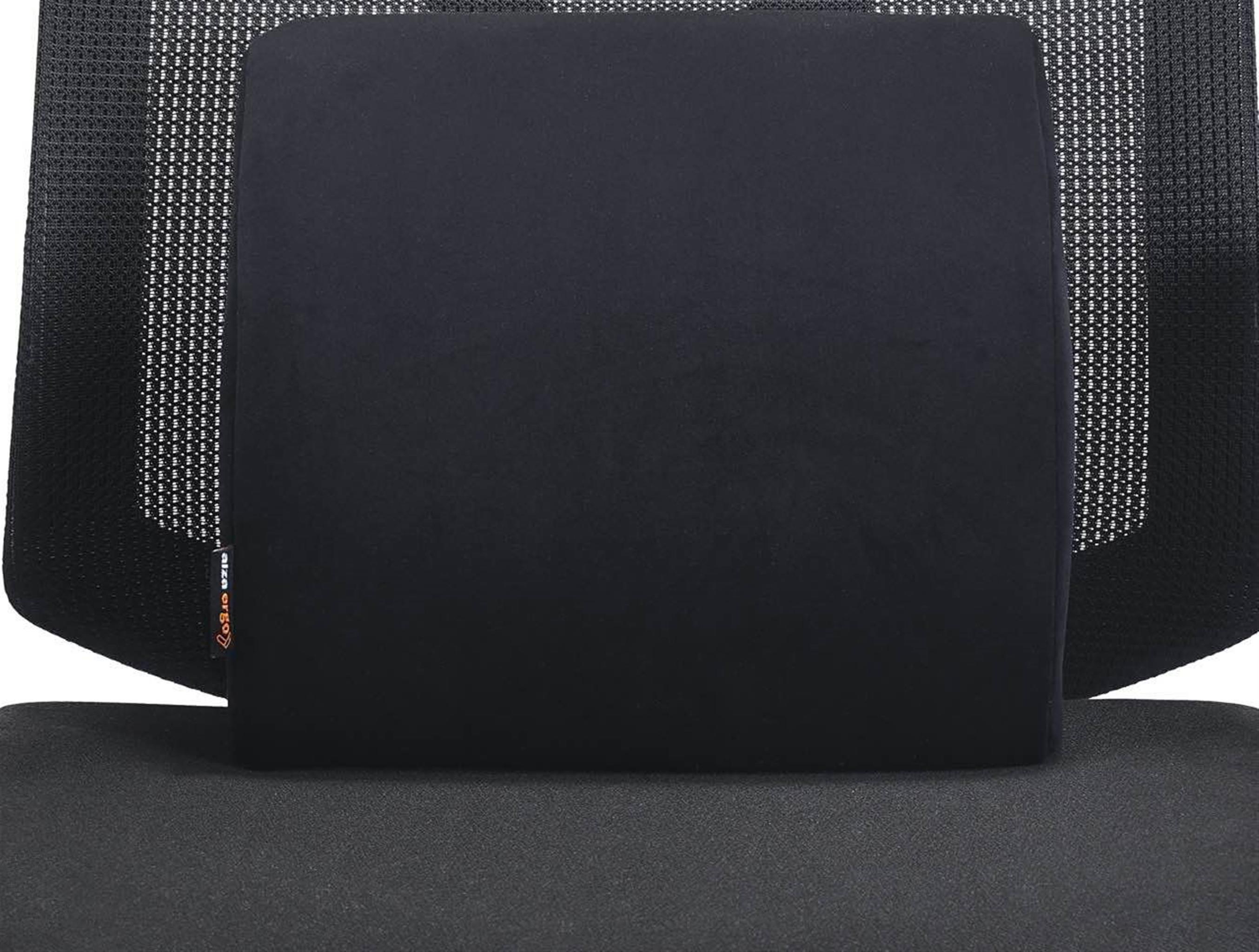 AlzaErgo Lendenwirbelstütze APW-EGLS