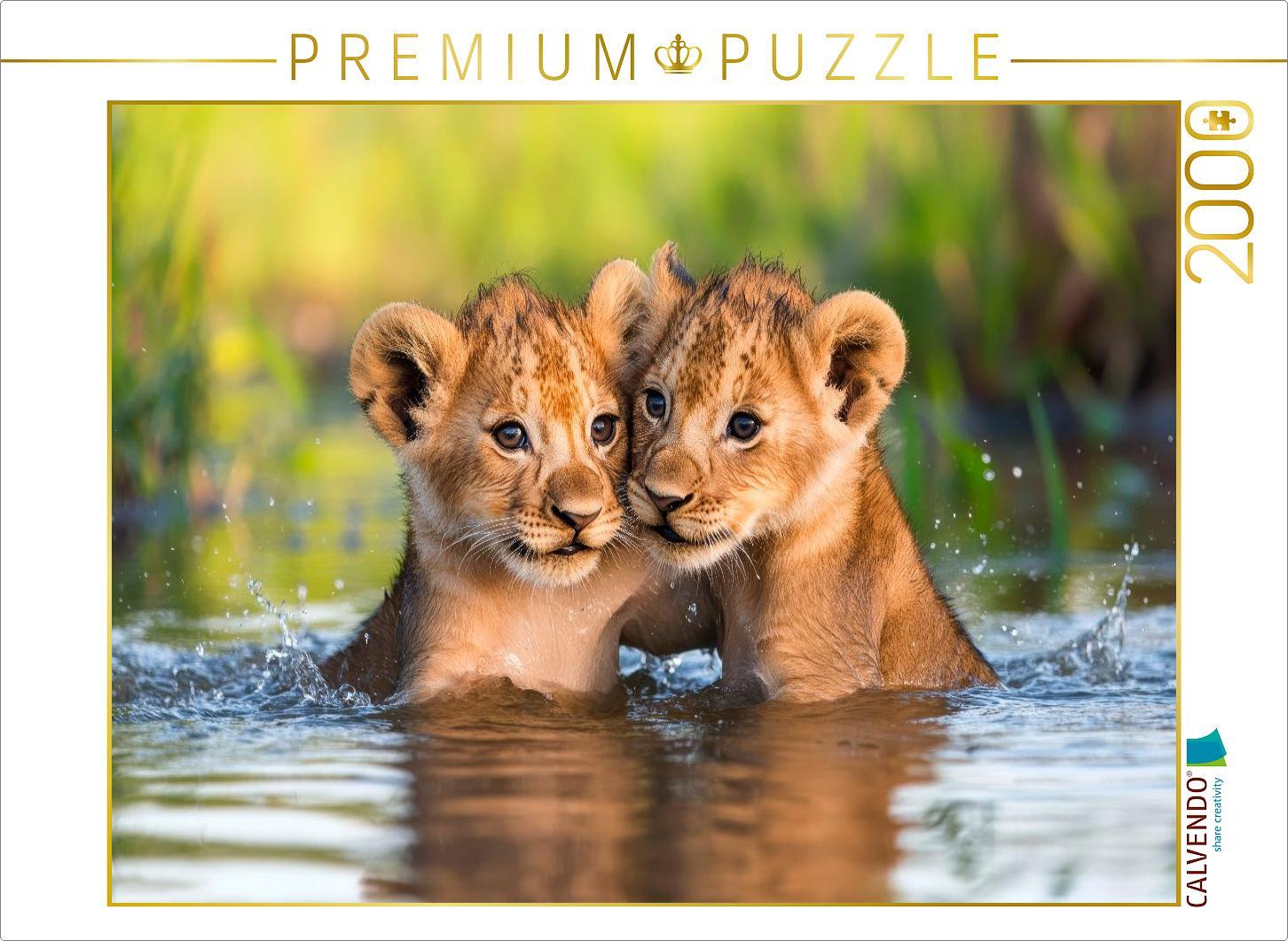 CALVENDO Puzzle Löwenbabys - Im Wasserparadies | 2000 Teile Lege-Größe 90x67cm Foto-Puzzle für glückliche Stunden