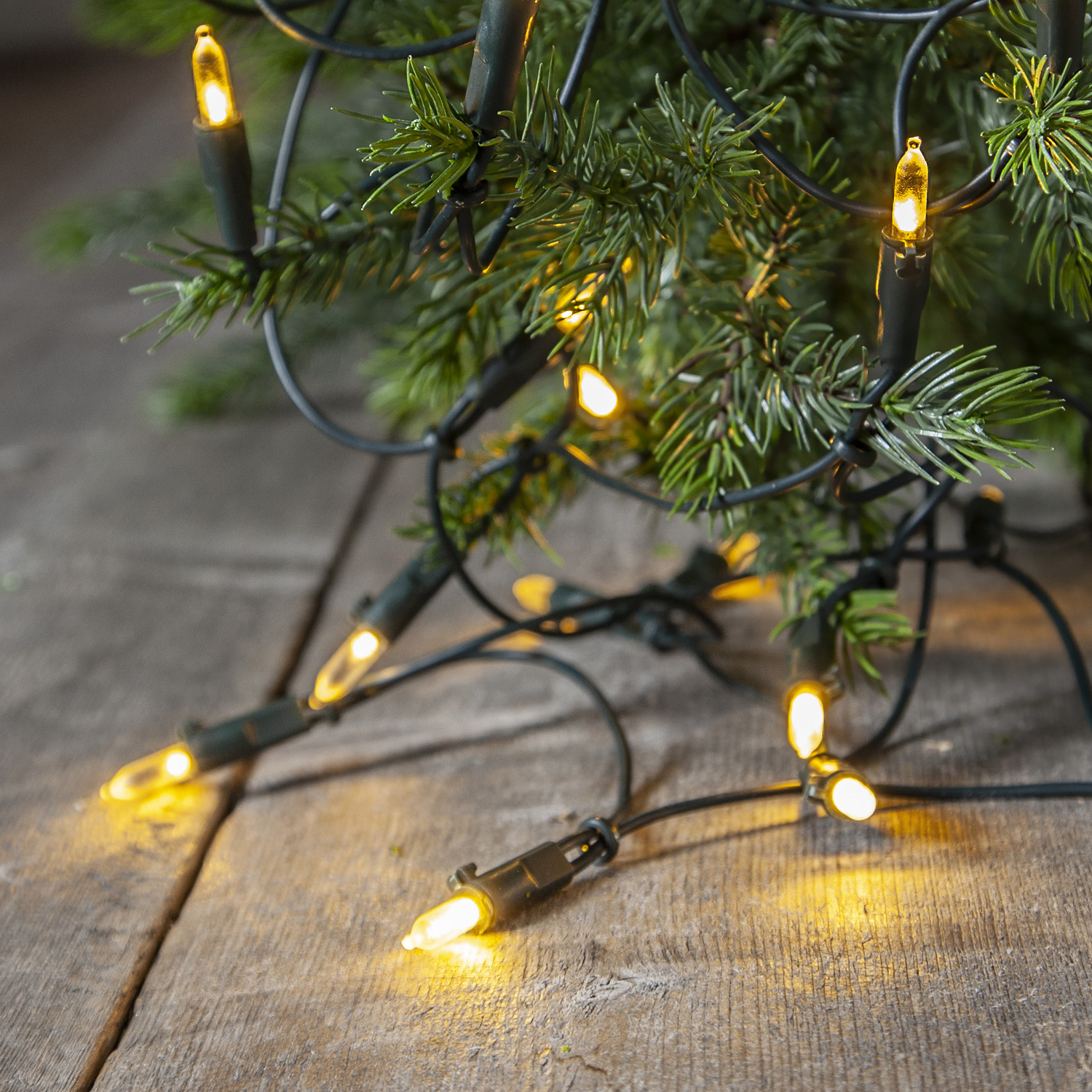 MARELIDA LED Lichterkette Pisello - Weihnachtslichterkette - 20 warmweiße LED - L: 2,85m - für Innen [60]421-10