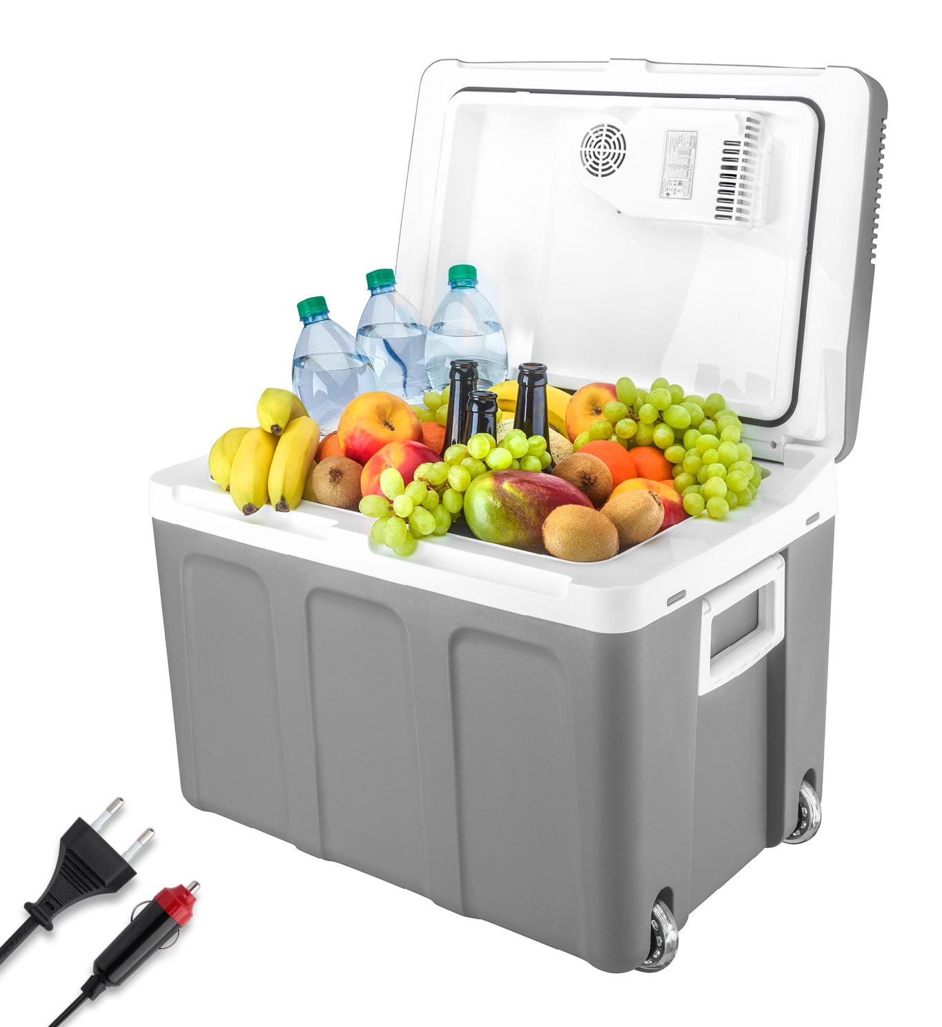 TZS First Austria - Kühlbox 45L elektrisch 12V 230V Anschluss für Auto & Steckdose - Thermoelektrisch - Grau