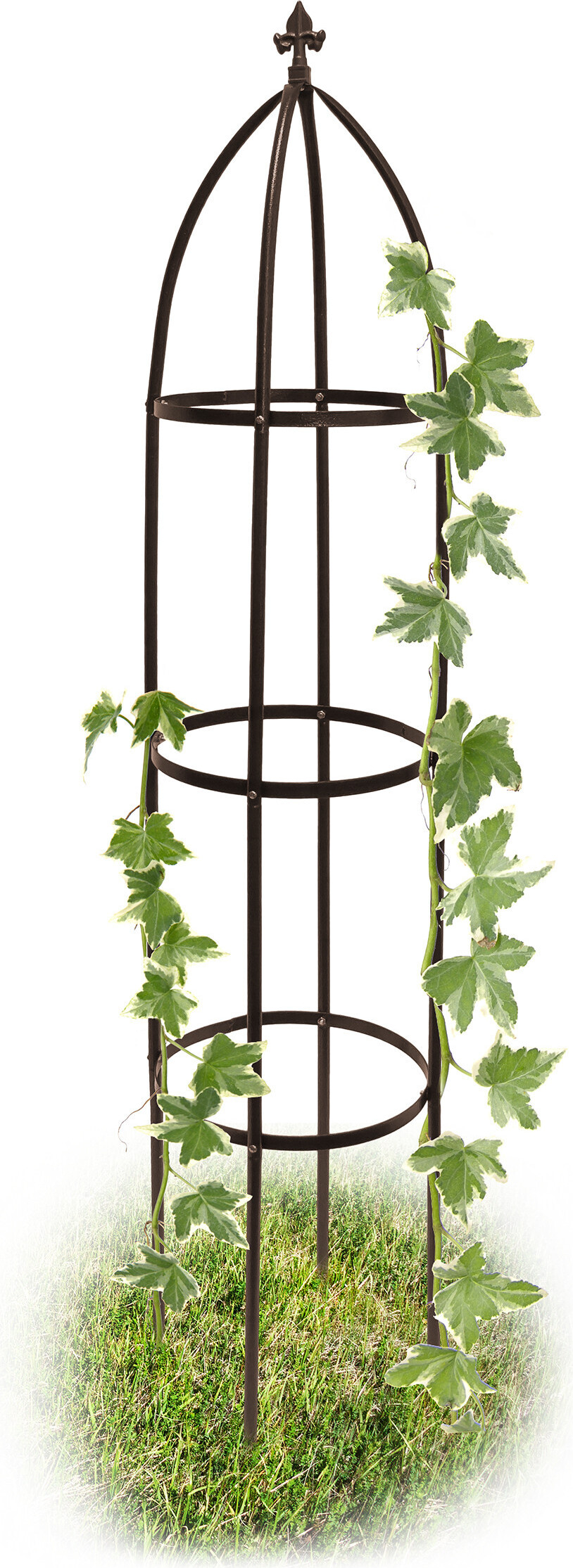 Relaxdays Rankhilfe Obelisk Metall 190 cm, Ranksäule