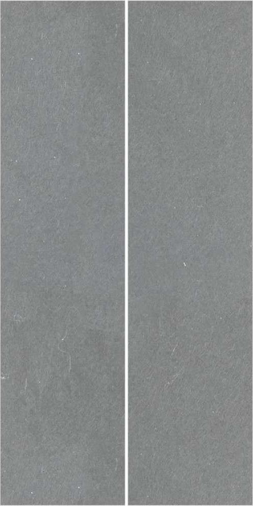 vidaXL tkanina na podlahu pri bazéne svetlosivá 500x250 cm polyesterová geotextília