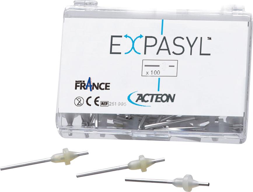 Acteon Germany Expasyl Applizier-Kanülen 100St 261005