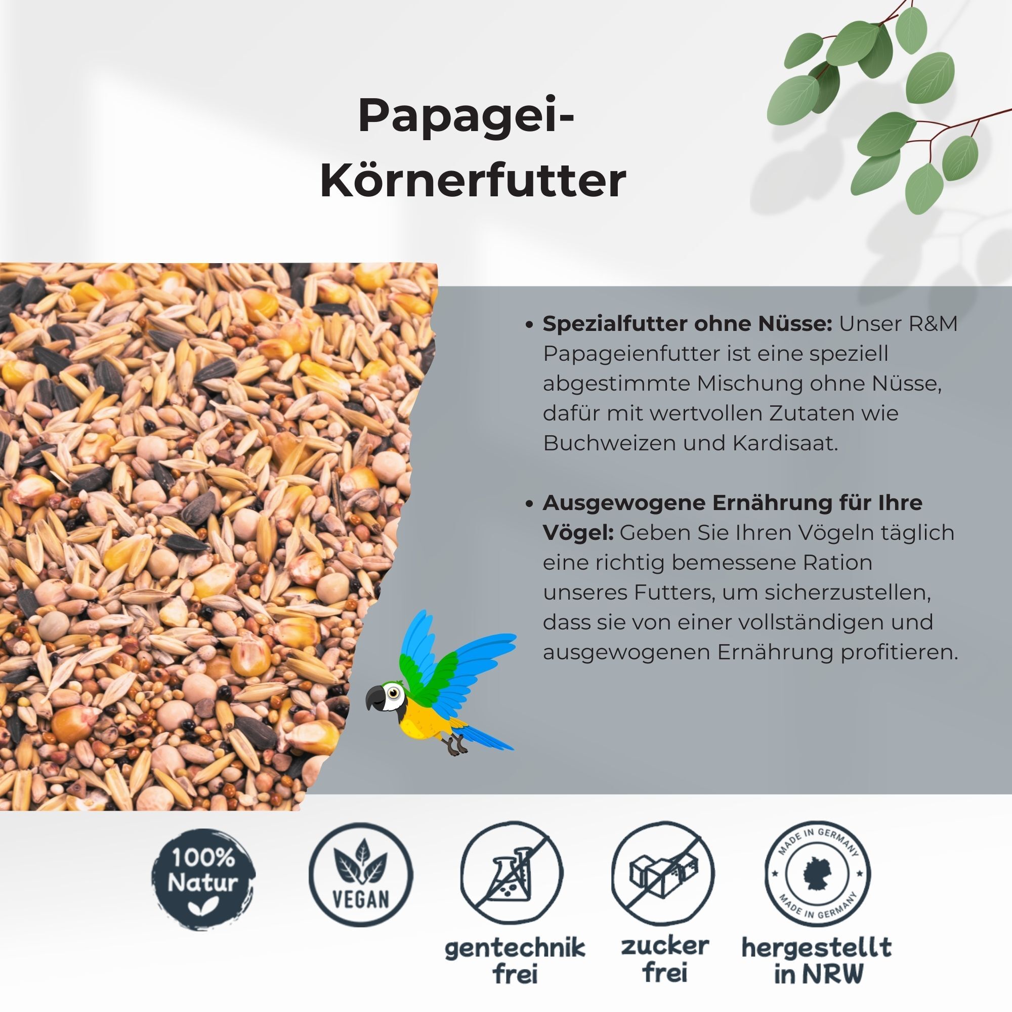 R&M Futter und Lebensmittel R&M Papagei - Futter 0.8kg | Vogelfutter, Kakadu, Amazonen, Premium Mischung