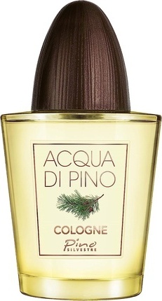 Pino Silvestre Acqua di Pino Fougère toaletná voda pánska 125 ml