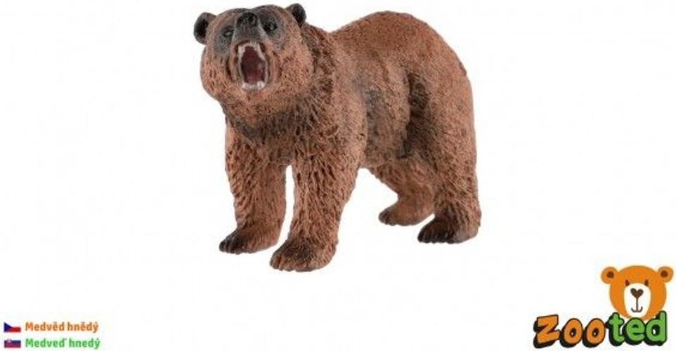 ZOOted Braunbär verwildert UN46424