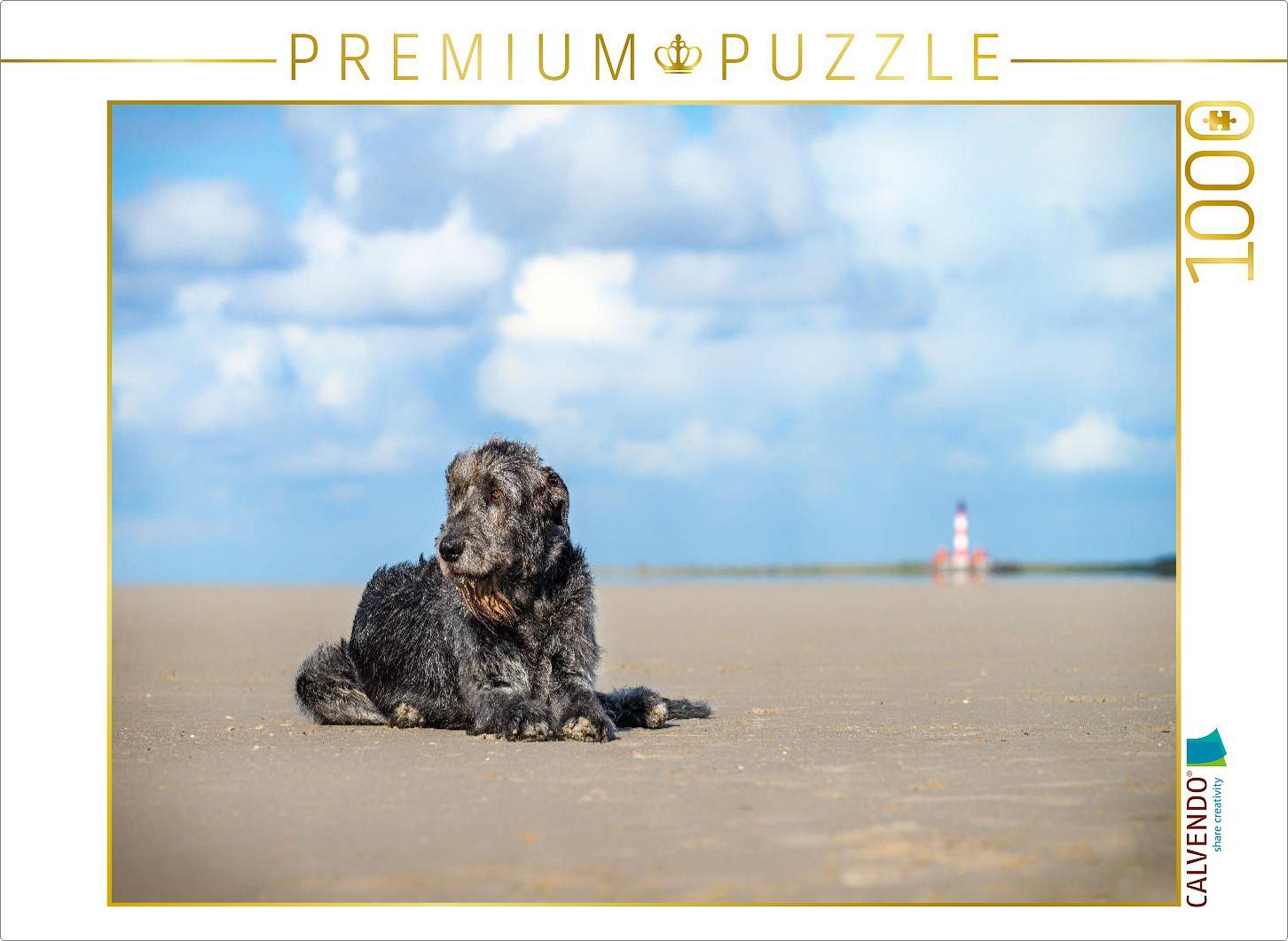 CALVENDO Puzzle Irischer Wolfshund liegt am Strand | 1000 Teile Lege-Größe 64x48cm Foto-Puzzle für glückliche Stunden