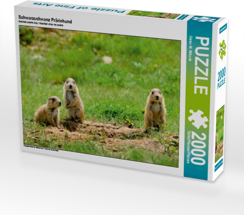 CALVENDO Puzzle Schwarzschwanz Präriehund 2000 Teile Puzzle quer | 2000 Teile Lege-Größe 90x67cm Foto-Puzzle für glückliche Stunden