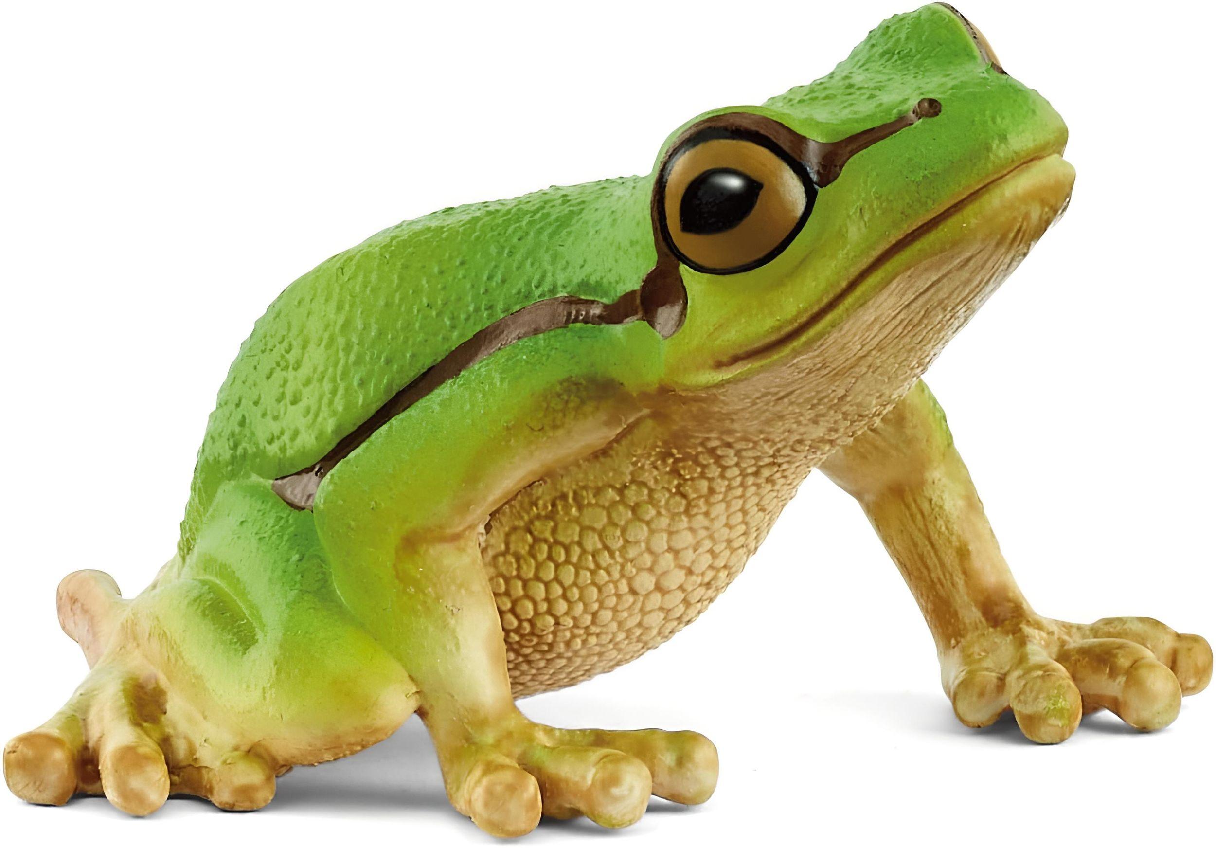 SCHLEICH Wild Life Europäischer Laubfrosch 14882