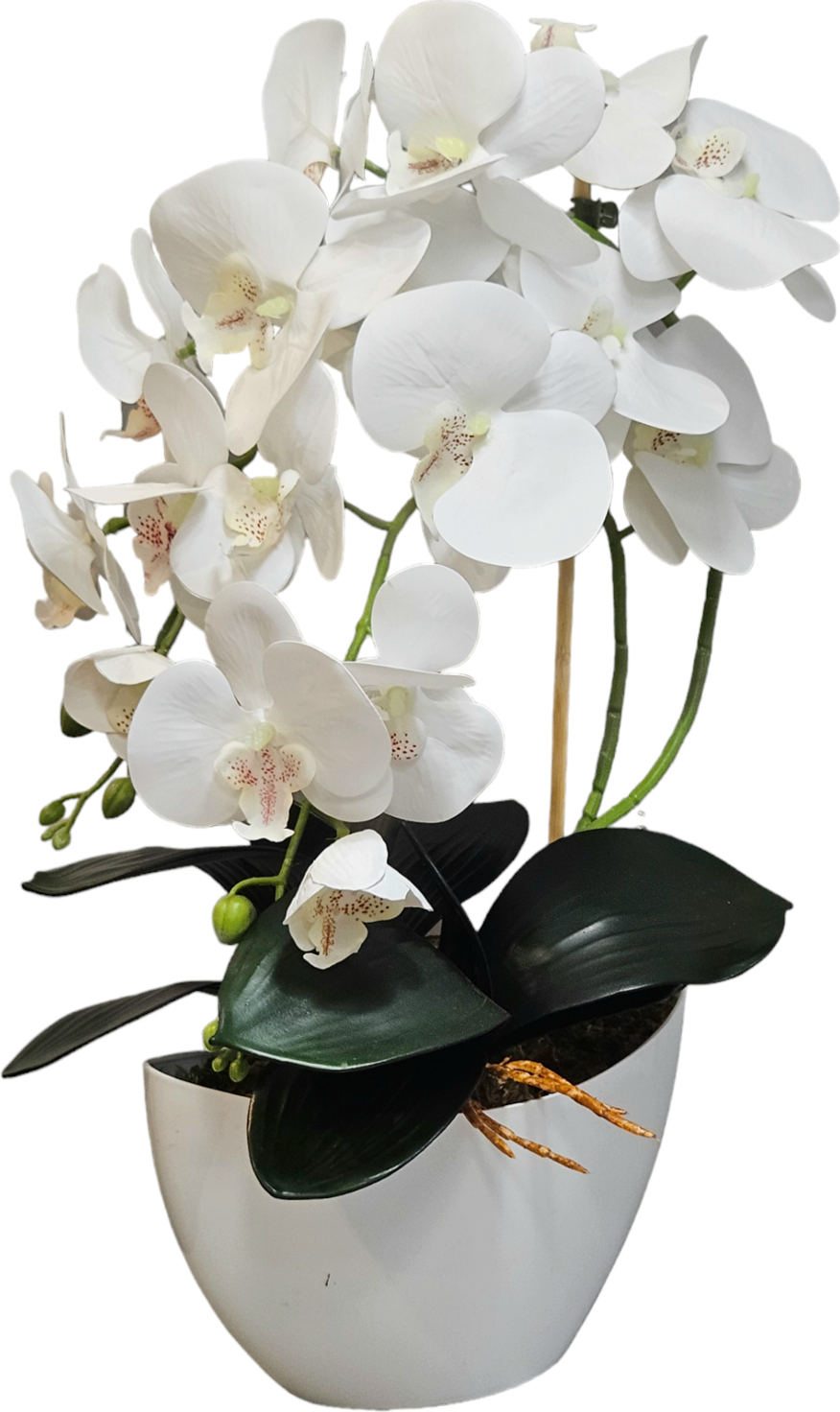 Decovego Orchidea Artificiale Con Vaso 75 Cm Bianco – Pianta Finta Realistica, Flessibile E Senza Manutenzione