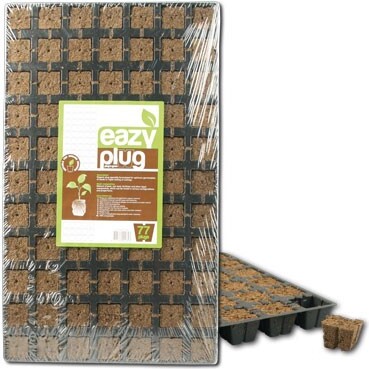 Eazy Plug®, Stecklingsblöcke, Tray à 77 à 3,5x3,5cm | Anzucht von Eazy Plug 33385