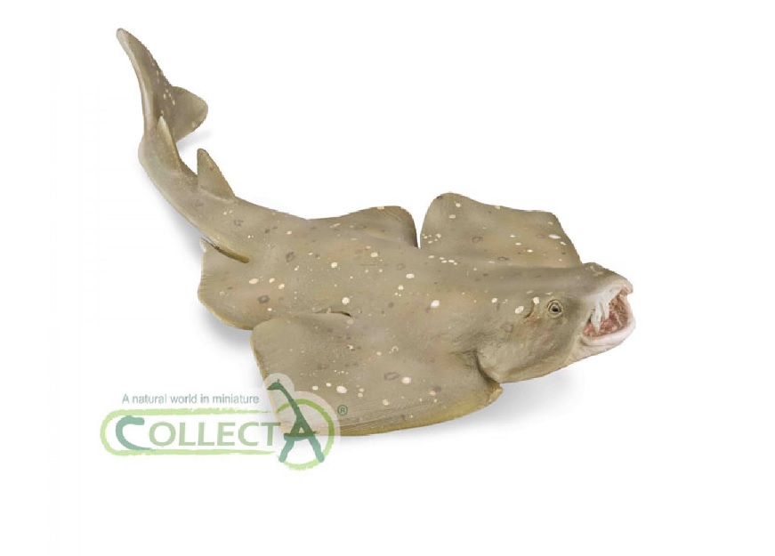 Collecta 88999 Engelhai 12 cm Wassertiere