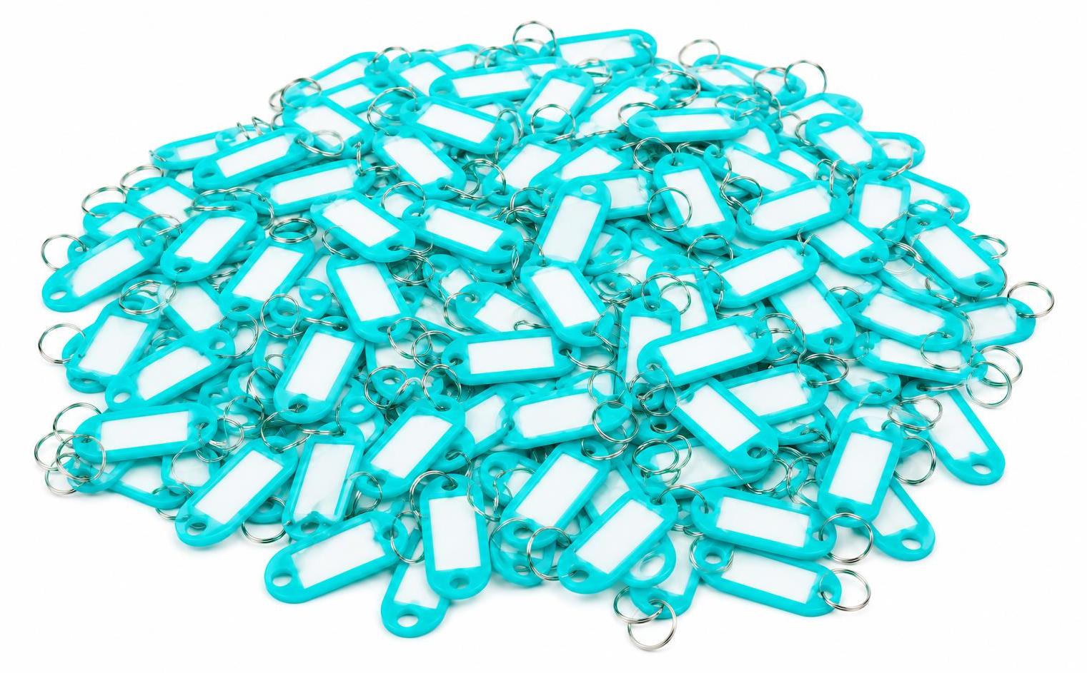 BAYLI 80er Pack Schlüsselanhänger zum Beschriften Einfarbig - Türkis - Schlüsselschilder mit Ring Beschriftbar | Schlüsselring zum Beschriften | Schlüsselring Kunststoff mit auswechselbaren Etiketten 80x Schlüsselanhänger zum Beschriften