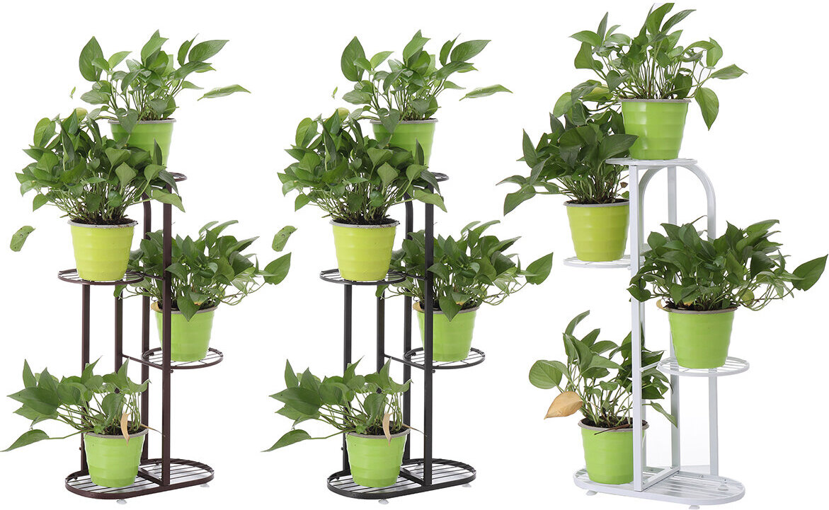 Failed to translate text.