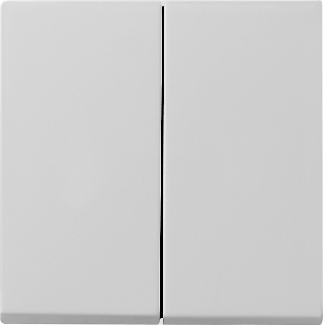 GIRA Wippe 2t Schalter gr mt f.Bussystem 0295015