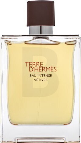 Hermes Terre D'Hermes Eau Intense Vetiver parfémovaná voda pre mužov 200 ml