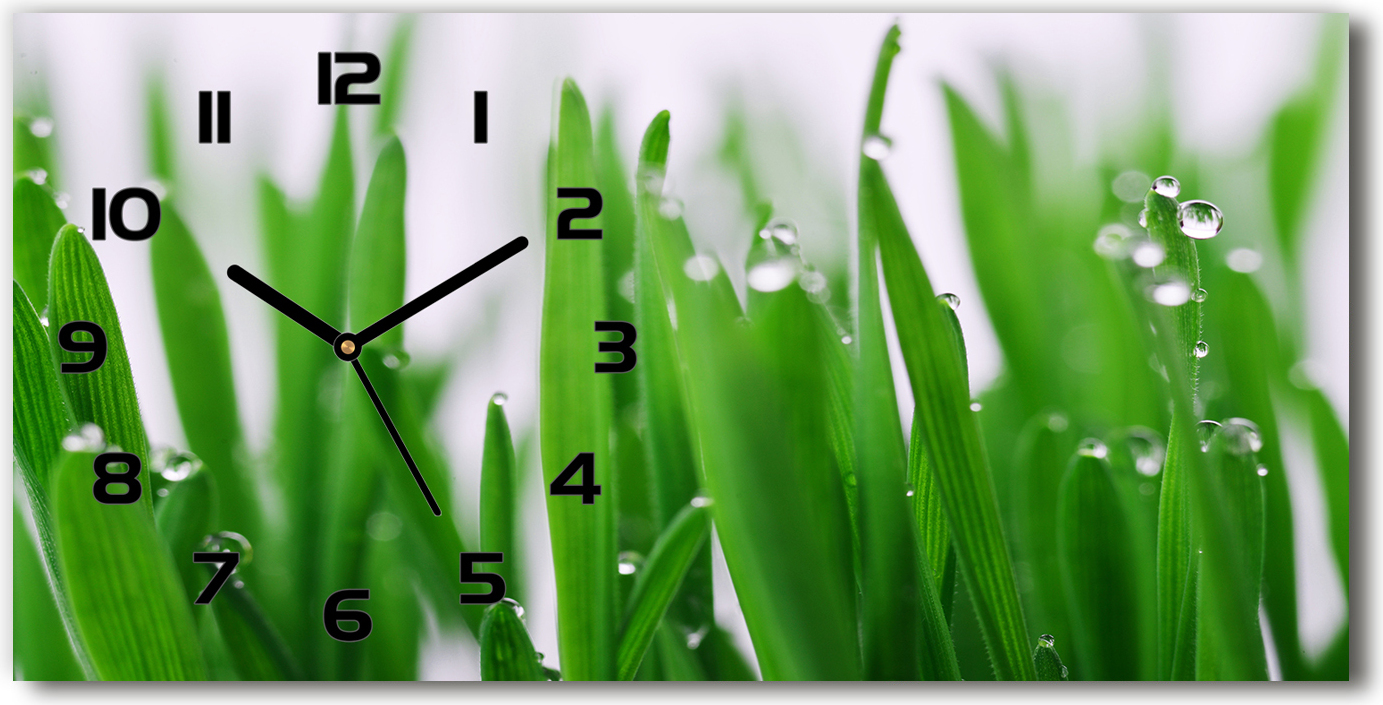 tulup Wanduhr aus Glas – 60x30 cm - Glasbild - Glasuhr - Gehärtetes Glas - schwarze-zeiger - Grashalme tw2-zsh-60x30-black-f-69404091