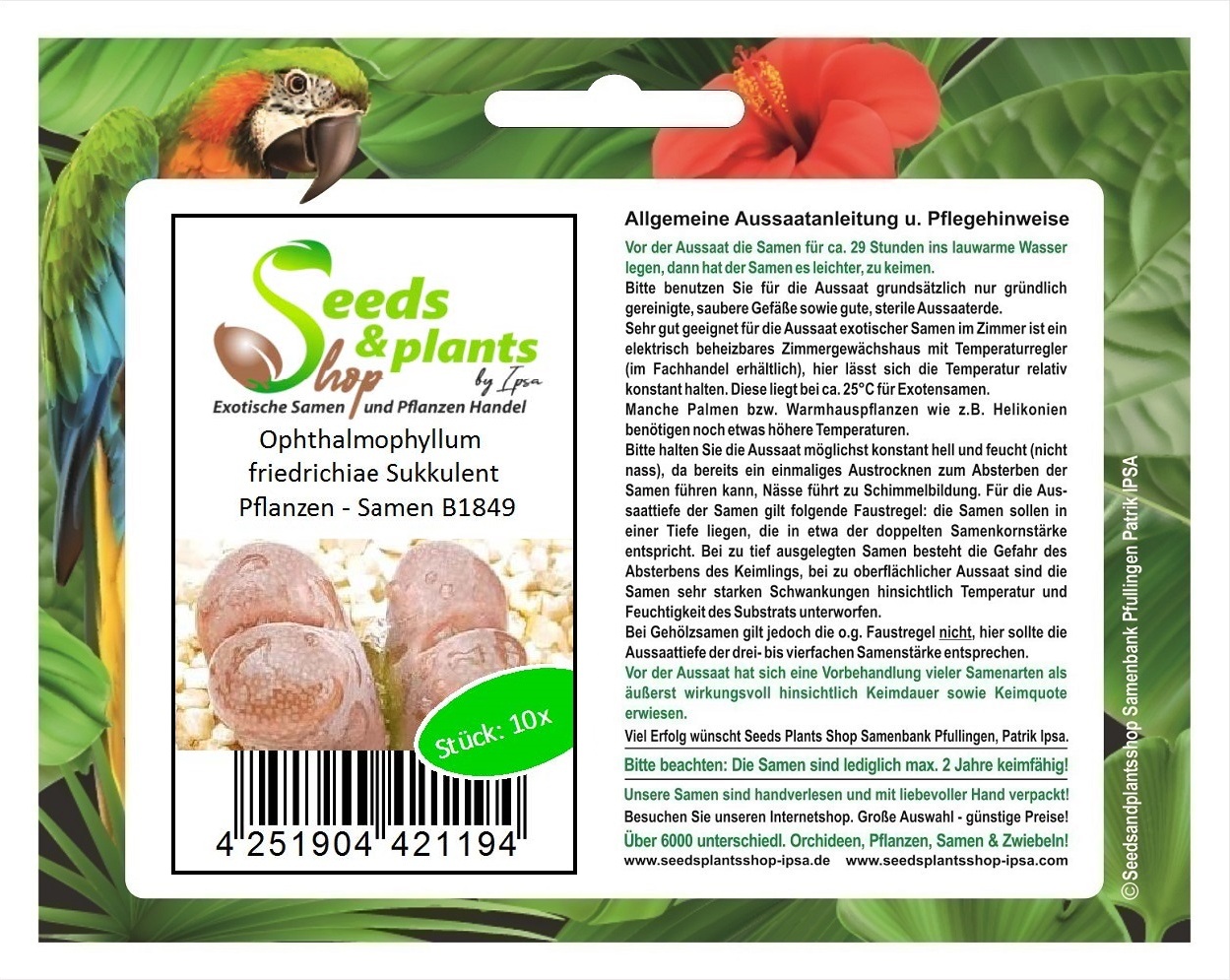 Seeds & Plants Shop by Ipsa 10x Ophthalmophyllum friedrichiae Sukkulent Pflanzen - Samen B1849