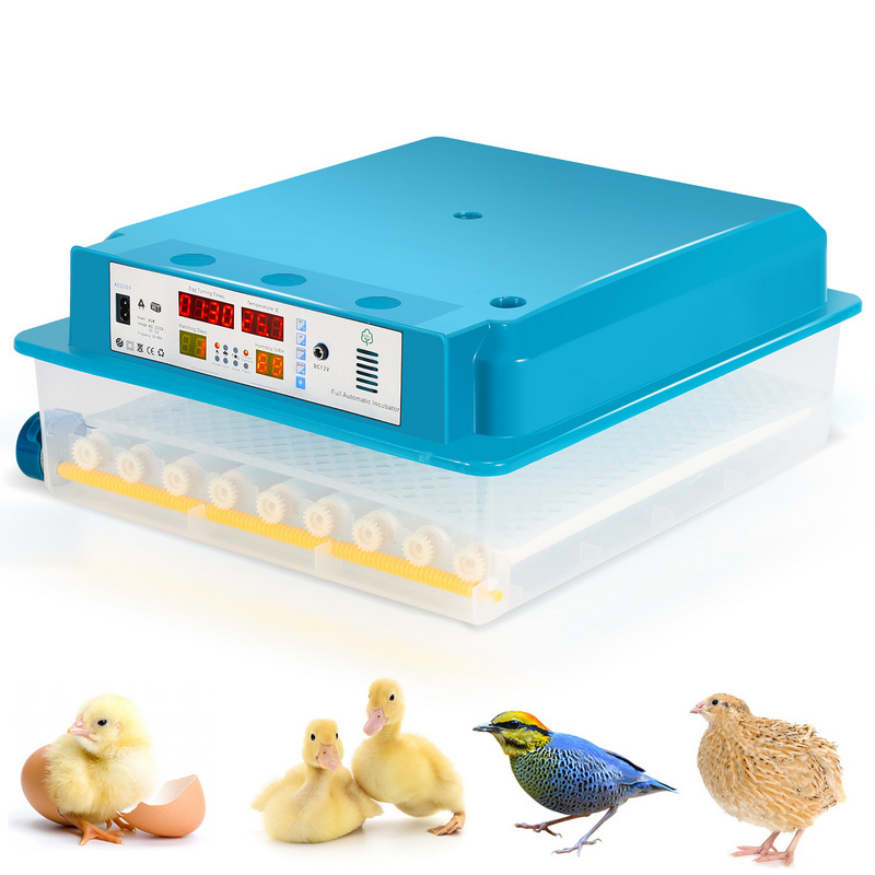 Jopassy Brutmaschine Brutthermometer Hühnereier Brutapparat Inkubator fur 64 Hühnereier RL-HG9813-1-OT