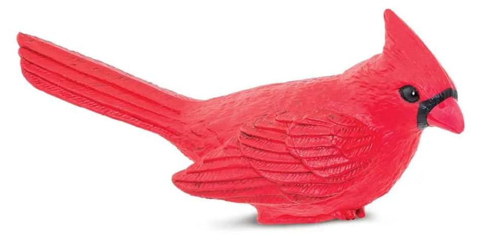 Safari Ltd Kardinalzahl Rot From 3 Years Kinder Rot From 3 Years S100215-UNIT