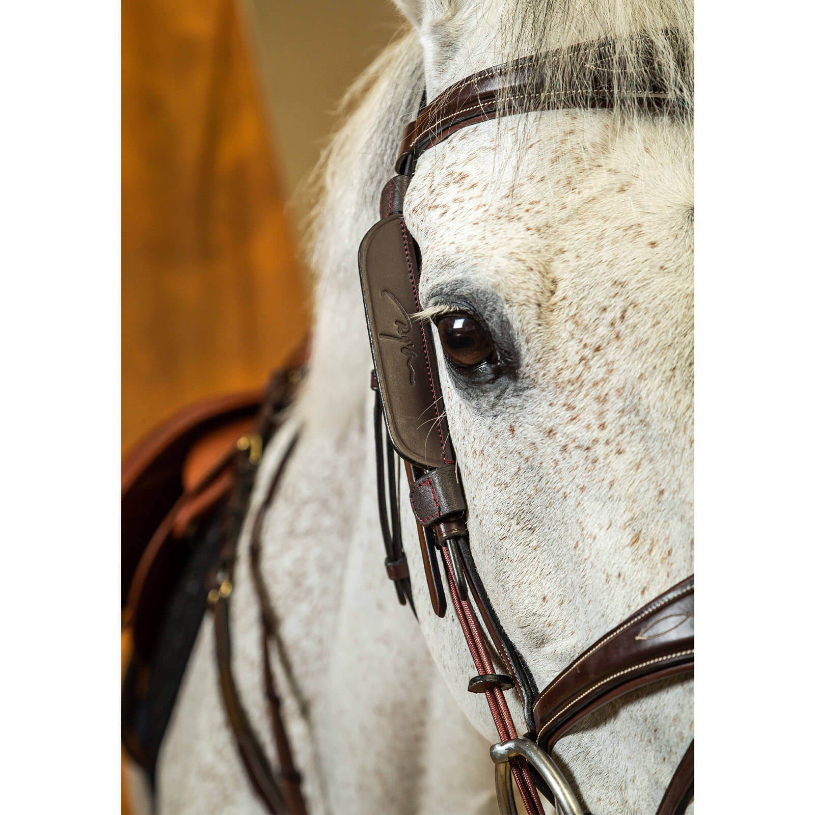 Dyon Blinkers Mini-Scheuklappen Focus Backenstücke, Größe:Cob, Farbe:brown AB99KBRC