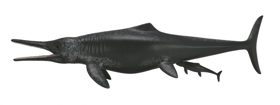 COLLECTA Temnodontosaurus - (XL) 3388724