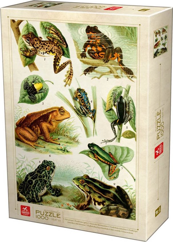 DEICO Puzzle Enzyklopädie der Frösche 1000 Teile