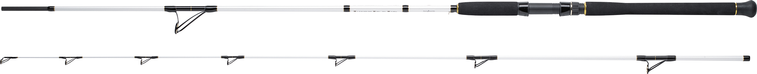 WFT Salzmeister Coastal Jigger 2,75m 40-160g 1D-B 654-275