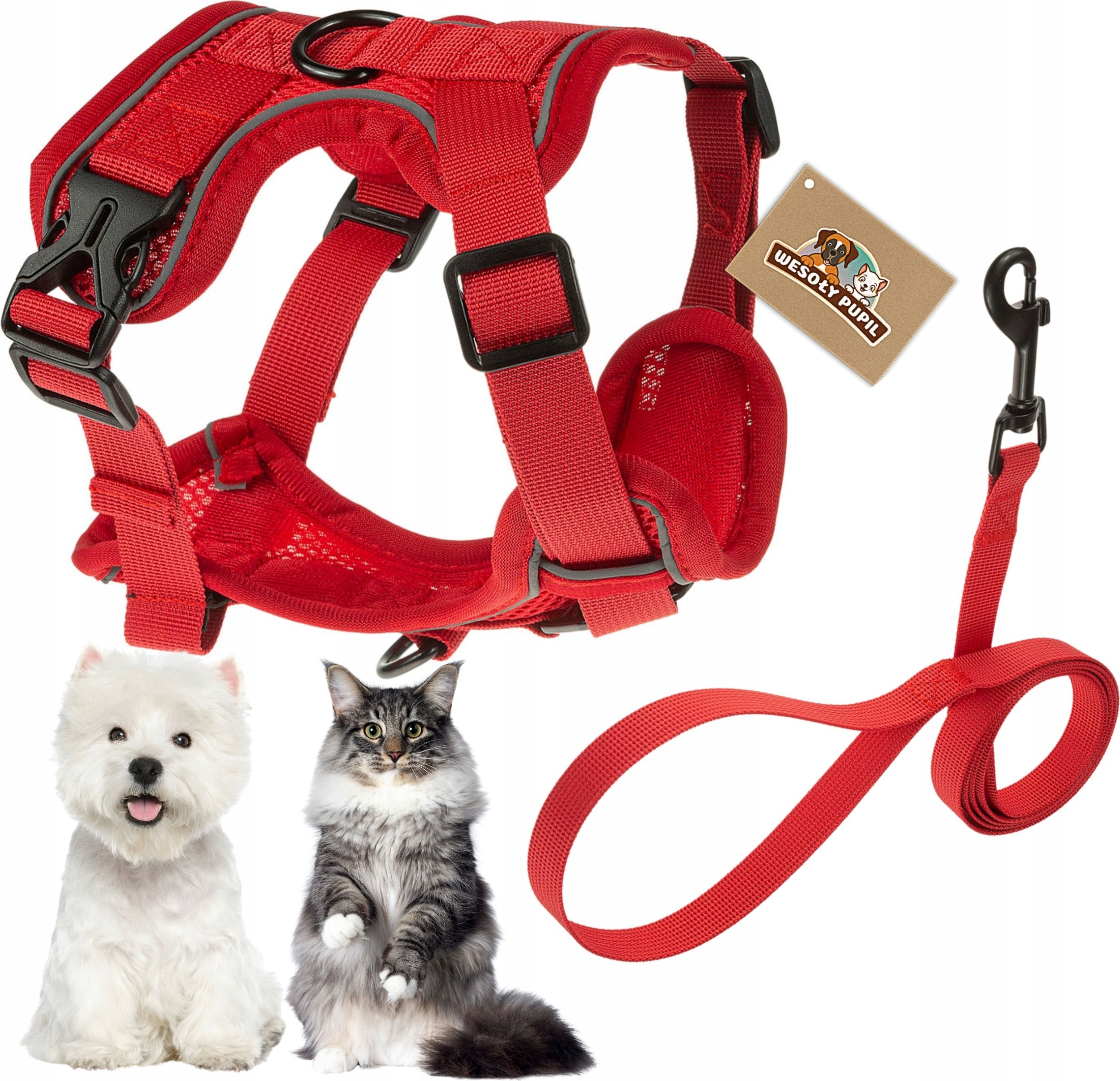 Happypet Zahnspangen für einen kleinen Hund eines Katzentyps -Katze -freie reflektierende reflektierende Leine für freie xl