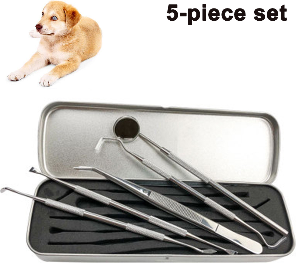 longziming 5-teiliges Set Zahnsteinentferner Hund Zahnsteinentferner für Hunde und Katzen, Zahnsteinentferner für Haustiere, Zahnreinigungswerkzeug für Hunde und Katzen kau-ZQJF67716