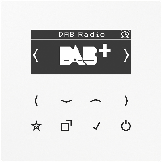 Jung DAB LS1 Smart Radio DAB+ Radio, DAB+