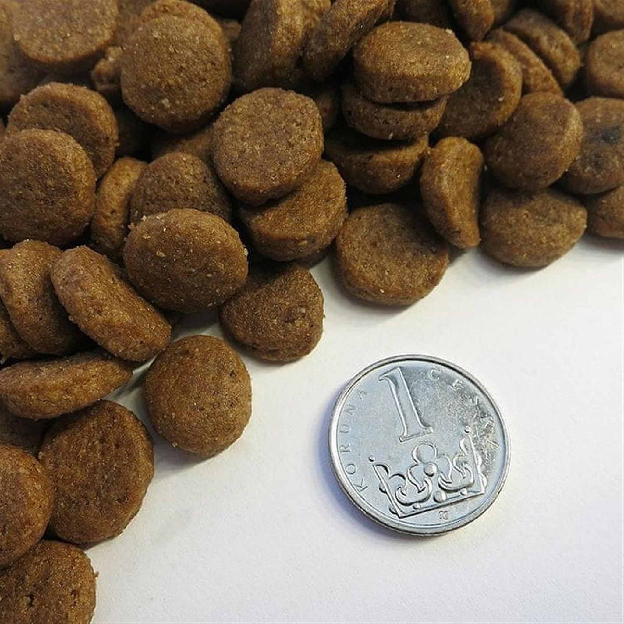 Taste of the Wild Puppy High Praire 12,2 kg GSHB_action_074198614325