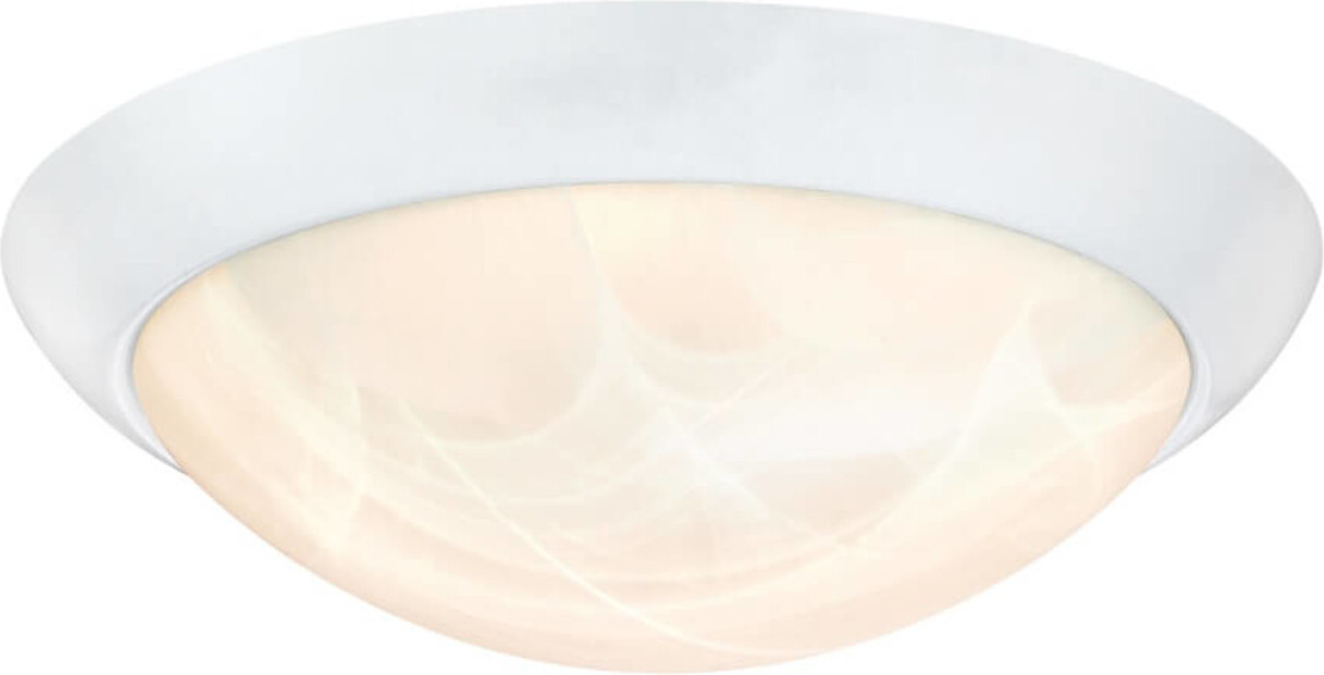 Westinghouse 6106640, 1 Glühbirne(n), LED, 3000 K, 1000 lm, Weiß